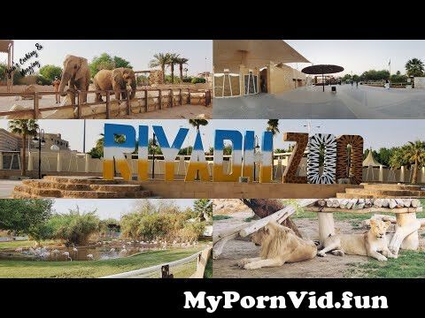 And in porn Riyadh zoo Zoo Porn