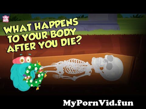 View Full Screen: what happens to your body after you die 124 human biology 124 the dr binocs show 124 peekaboo kidz.jpg