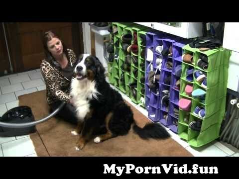 Blowjob porn dog Girl handjob