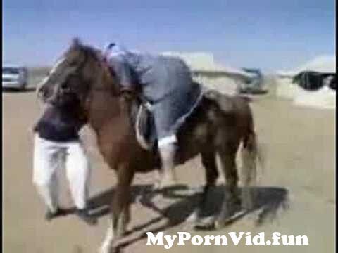 Fok Vedeo - Hilarious Fat Arab Can't Ride A Horse from arbic fat gral fok Watch Video -  MyPornVid.fun
