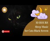 Relaxing Music for Cat