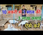 Maurya Hi-tech Goat Farm