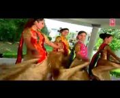 Maithili Bhojpuri Hindi video super hit video