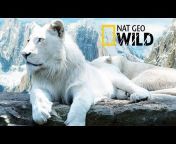 Documentary of national geographic