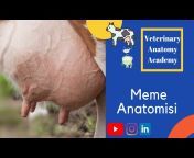 Veterinary Anatomy Academy