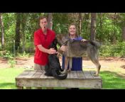 German Shepherd Man Official Channel
