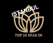 Top 10 Best SPAS in...
