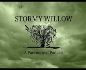 Stormy Willow
