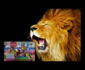 Lioncaps Videos