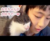 PECOチャンネルさん【癒やしのペット動画】