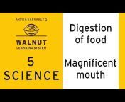 Walnut Learning System