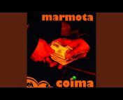 Marmota - Topic