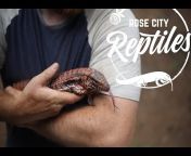 Rose City Reptiles TX