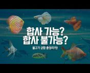 한국관상어협회