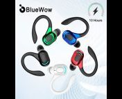 BlueWow Official