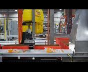 Pearson Packaging Systems