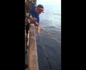 AMAYSING FISHING BAIT u0026 TACKLE