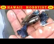 Hawaii Hobbyist