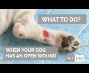 PET TAO Holistic Pet Products