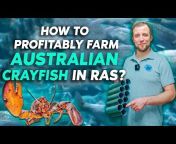 Aquafarmer. RAS fish farming business