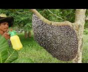 Khmer beekeeping
