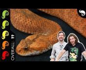 Clint&#39;s Reptiles