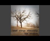 Small Orange Relationship - Topic
