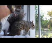Seymour the Squirrel