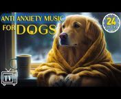 Great Music for DOGS