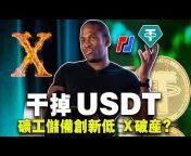 BTV-China 币链何在 -读懂区块链-占有比特币