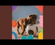 Dog Music Library - Topic