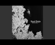 Soul Dojo - Topic