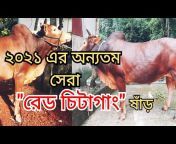Cattle-talks with NAFIS