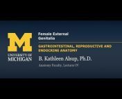 BlueLink: University of Michigan Anatomy