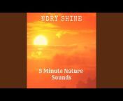 Ndry Shine - Topic