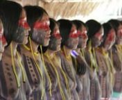 This hypnotically beautiful film of the 3-day long manioc festival by Bepunu shows especially creative editing to reduce the running time for impatient kuben (&#39;white&#39;) audiences. The original Kayapo-style film ran for half an hour, but Bepunu employed video stills and