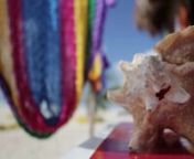 This is a Caribbean Promo video produced for the Royal Caribbean Shore Excursions department.We spent a week on the Oasis of the Seas cruise ship and visited Labadee (Haiti), Falmouth (Jamaica), Cozumel (Mexico).nnShot with canon mark iii, 24-105mm f4, 24-70mm f2.8, 70-200mm f2.8, 16-35mm f2.8, 35mm f1.4.nVideographers:nMartin CastanedanMatthew GonsalvesnProducer:nJuliana ZapatanTalent:nEric AragonnPhotographer:nAlan KarolnSound:nWilliam YoungmannEditing:nMartin castanedanMatthew Gonsalves