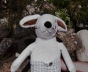 Poor bunny can&#39;t find his carrot cakennwww.relayforlife.org/rosevilleca