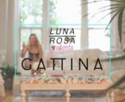 GATTINA from gattina