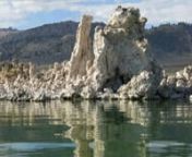 One of our favorite things to do with kids is take a canoe trip on Mono Lake.Glide past tufa towers that look like giant dribble castles, see tiny brine shrimp living in this ultra-salty lake, watch gulls and many other birds who live in this unique high desert habitat.nnhttp://travelforkids.com/Funtodo/California/Eastern_Sierra/california-mono-lake.htm