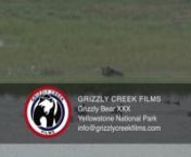 Grizzly bear lifetime home range differs between males and females. Males home rage is between 800 - 2,000 square miles while the females home range is smaller at 300-550 miles. nnIf interested in our footage, please reach out to info@grizzlycreekfilms.comnPlease refer to reel GCF-G-30-HD