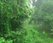 Taken outside my room window at home in Palakkad, Kerala around 2pm 17th July 2011
