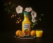 Rikky Fernandes Simply Orange Juice from rikky