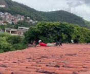 Corpo de Bombeiros resgata filhote de gato preso em telhado from filhote