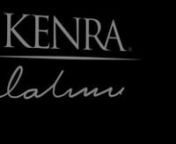Kenra® Platinum Recovery Polish from kenra