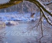 Snowdays like these are not often in the north western of Germany. I enjoyed this winter wonderland the whole day and filmed some landscapes and birds in the northern Krefeld. nnYou see landscapes from the