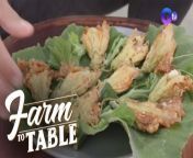 After harvesting a bunch of squash blossoms, Chef JR Royol turns them into crispy treats and teaches a few frying tips along the way!