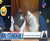 Realization lang, &#39;da best na kakampi sa buhay yung mga kapatid natin pero growing up, kontrabida rin sila minsan!&#60;br/&#62;&#60;br/&#62;&#60;br/&#62;Balitanghali is the daily noontime newscast of GTV anchored by Raffy Tima and Connie Sison. It airs Mondays to Fridays at 10:30 AM (PHL Time). For more videos from Balitanghali, visit http://www.gmanews.tv/balitanghali.&#60;br/&#62;&#60;br/&#62;#GMAIntegratedNews #KapusoStream&#60;br/&#62;&#60;br/&#62;Breaking news and stories from the Philippines and abroad:&#60;br/&#62;GMA Integrated News Portal: http://www.gmanews.tv&#60;br/&#62;Facebook: http://www.facebook.com/gmanews&#60;br/&#62;TikTok: https://www.tiktok.com/@gmanews&#60;br/&#62;Twitter: http://www.twitter.com/gmanews&#60;br/&#62;Instagram: http://www.instagram.com/gmanews&#60;br/&#62;&#60;br/&#62;GMA Network Kapuso programs on GMA Pinoy TV: https://gmapinoytv.com/subscribe