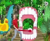Funny Haircut and Brush your Teeth from Steve and Maggie &#124; Wow English TV&#60;br/&#62;&#60;br/&#62;Steve and Maggie are having great fun today. Steve&#39;s showing Maggie how to clean her teeth. Wow! Can you clean your teeth like Steve and Maggie? There&#39;s a nice song you can sing to it &#92;