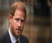Prince Harry loses court battle for security in the UK, what does this mean for Archie and Lilibet? from harry louis nude